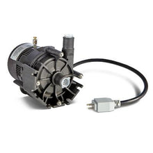 Circulation Pump 240v, Dimension One (D-1) w/ JJ Cord